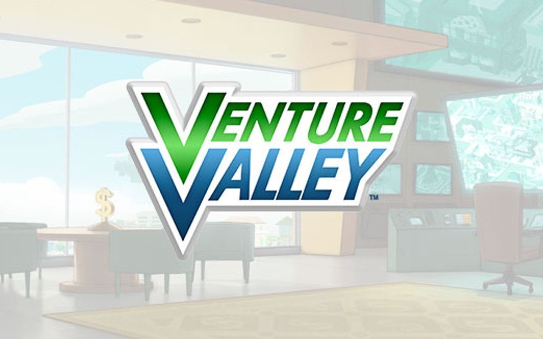 Venture Valley and C.E.O Partnership