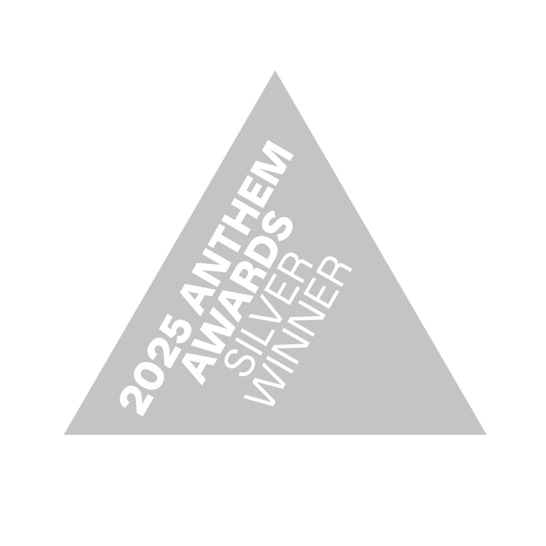 anthem 2025 silver winner icon